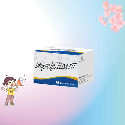 Aanpasbare Dengue IgG ELISA Kit voor specifieke en biologische analyses van monsters
