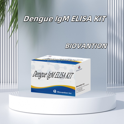 Zeer gevoelige dengue IgM Elisa-testkit voor lage detectiegrenzen en hoge precisie