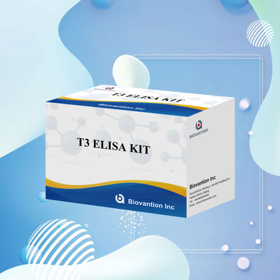 T3 Enzym Linked Immunosorbent Assay T3 ELISA Kit