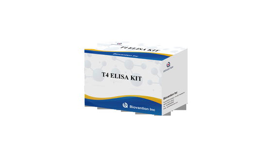 Hoogs specifieke T4 Elisa-testkit voor nauwkeurige detectie van doelstoffen