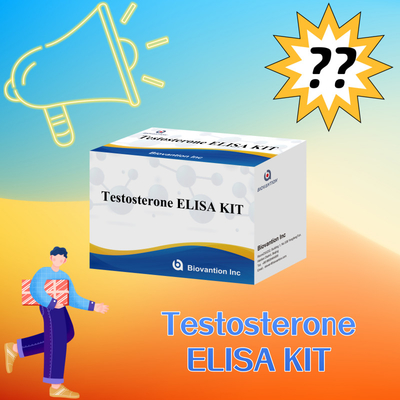 Teststeron Elisa-testkit voor nauwkeurige kwantificatie van biomarkers