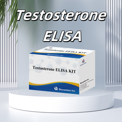 Teststeron Elisa-testkit voor nauwkeurige kwantificatie van biomarkers
