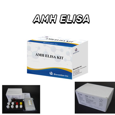 IVD-test Anti-Mullerian Hormoon AMH Elisa voor menselijke detectie met 96 test