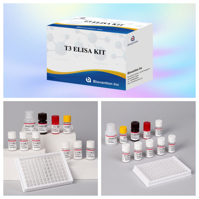 Aanpasbare T3 Elisa-testkit voor nauwkeurige kwantificatie van biomarker