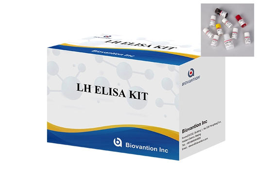 Medisch verbruiksartikelen detecteren ovulatie nauwkeurig LH Elisa Test Kit