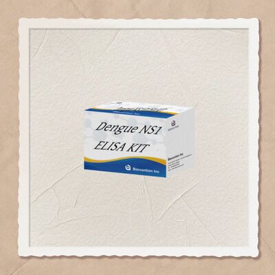 18 maanden houdbaarheid Dengue IgM ELISA testkit met hoge gevoeligheid en 96 testen/kit voor laboratoriumdiagnostiek in ziekenhuizen