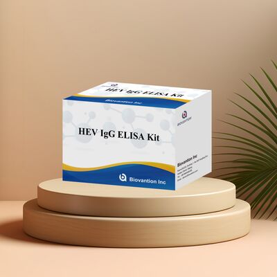 Hooggevoelige HEV-IgG ELISA-testkit met 96T formaat en 18 maanden houdbaarheid voor hepatitis E-diagnose