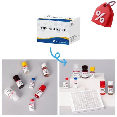 96T CMV ELISA testkit met colorimetrische detectie en sandwichmethode voor Cytomegalovirus antilichamen