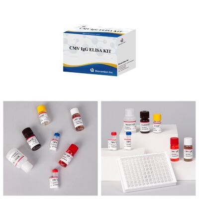 96T CMV ELISA testkit met colorimetrische detectie en sandwichmethode voor Cytomegalovirus antilichamen