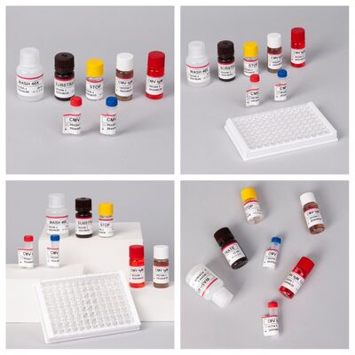 96T CMV ELISA testkit met colorimetrische detectie en sandwichmethode voor Cytomegalovirus antilichamen