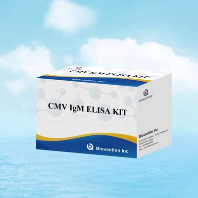 96T CMV ELISA testkit met colorimetrische detectie en sandwichmethode voor Cytomegalovirus antilichamen