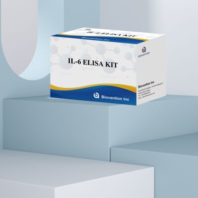 IL-6 Interleukine-6 Humane ELISA Kit met 99% Nauwkeurigheid, 24 Maanden Houdbaarheid en 96 Tests/Kit