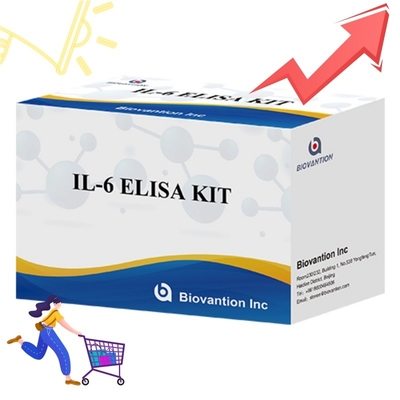 Hoge-gevoeligheid ELISA-kit voor IL6-detectie Betrouwbare onderzoeksreagentia voor nauwkeurige cytokine-analyse