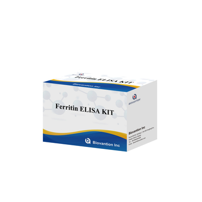 Biovantion Hoge gevoeligheid Ferritine Elisa Test Kit kwantitatieve detectie voor klinische diagnose en onderzoek gebruik menselijk serum plasma monsters