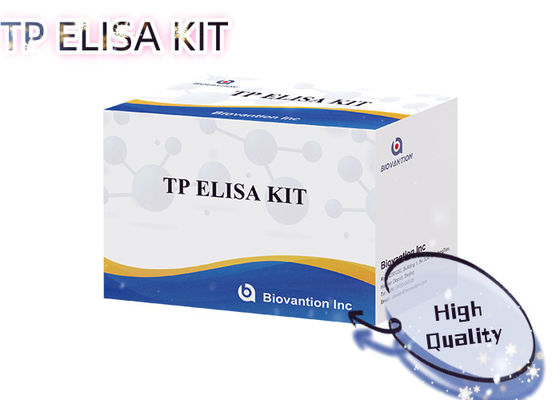 Syfilis TP ELISA Test Kit 96T Treponema Pallidum Antilichaamdetectie Menselijk Serum