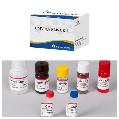96T CMV ELISA testkit met colorimetrische detectie en sandwichmethode voor Cytomegalovirus antilichamen