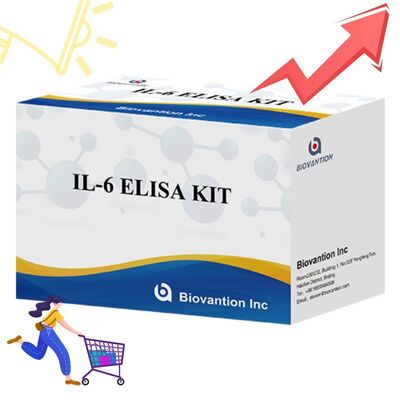 IL-6 Interleukine-6 Humane ELISA Kit met 99% Nauwkeurigheid, 24 Maanden Houdbaarheid en 96 Tests/Kit