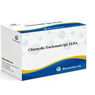 Antilichamen tegen Chlamydia trachomatis (Ct) IgG ELISA Test Kit Serum/Plasma